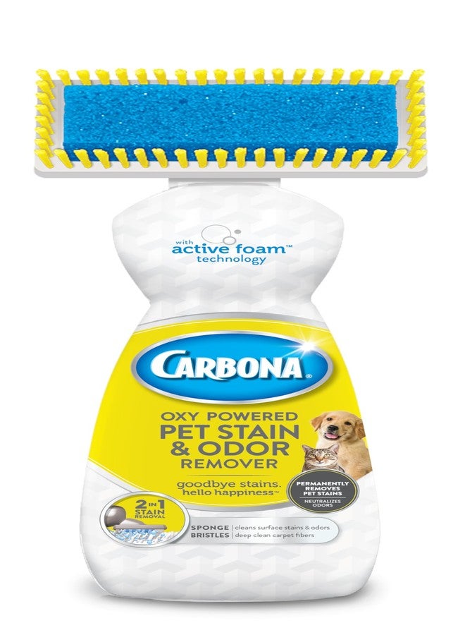 Carbona Oxy-Powered Pet Stain & Odor Remover | Carpet Cleaner for Pets | 13.5oz - Image 1